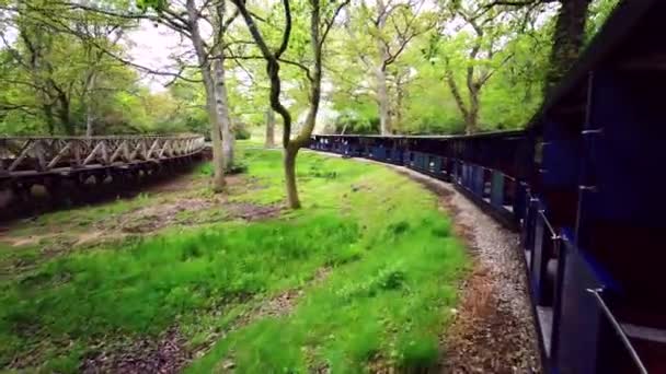 Exbury Gardens Railway Som Går Miles Runt Den Norra Delen — Stockvideo