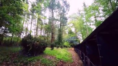 Exbury Gardens Demiryolu, İngiltere 'nin Hampshire kentindeki bu görkemli bahçelerin kuzey kısmında 1,25 mil boyunca uzanır.
