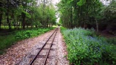 Exbury Gardens Demiryolu, İngiltere 'nin Hampshire kentindeki bu görkemli bahçelerin kuzey kısmında 1,25 mil boyunca uzanır.