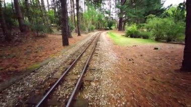 Exbury Gardens Demiryolu, İngiltere 'nin Hampshire kentindeki bu görkemli bahçelerin kuzey kısmında 1,25 mil boyunca uzanır.