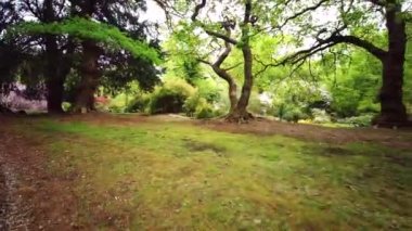 Exbury Gardens Demiryolu, İngiltere 'nin Hampshire kentindeki bu görkemli bahçelerin kuzey kısmında 1,25 mil boyunca uzanır.