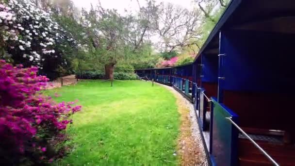 イングランドのハンプシャーにあるこれらの壮大な庭園の北部を1 25マイル走るExbury Gardens Railway — ストック動画