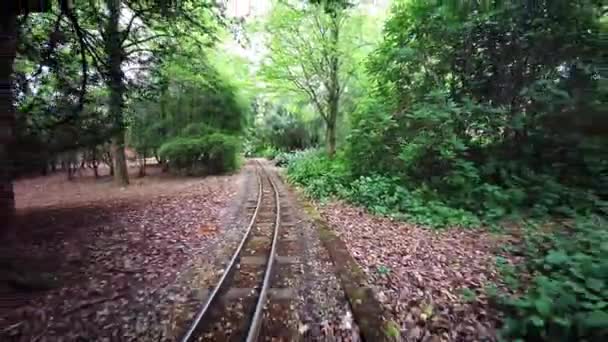 Exbury Gardens Railway Che Corre Miglia Intorno Alla Parte Settentrionale — Video Stock