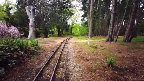 Exbury Gardens Railway Som Går Miles Runt Den Norra Delen — Stockvideo