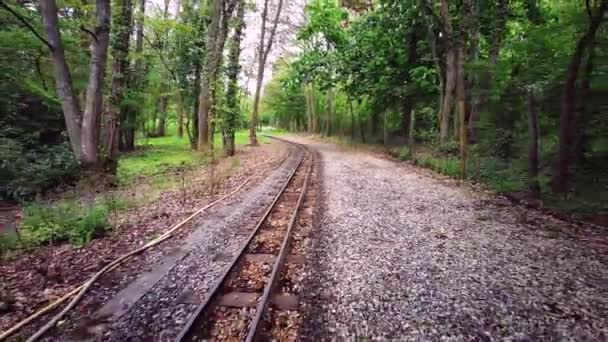 Exbury Gardens Railway Que Recorre Millas Alrededor Parte Norte Estos — Vídeos de Stock