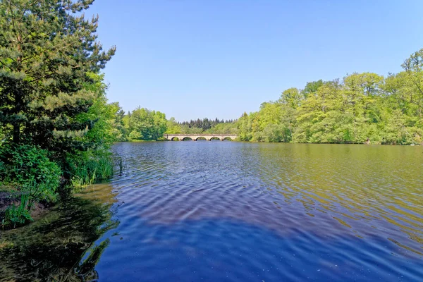 Utazási Cél Híd Királyi Táj Windsor Great Park Virginia Water — Stock Fotó