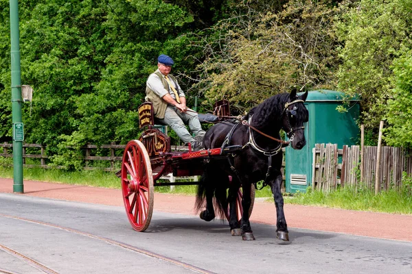 Promenades Cheval Chariot Pour Les Visiteurs Beamish Village Comté Durham — Photo