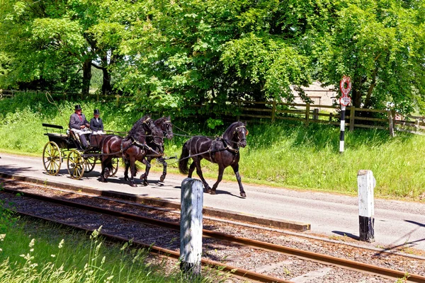 Promenades Cheval Chariot Pour Les Visiteurs Beamish Village Comté Durham — Photo