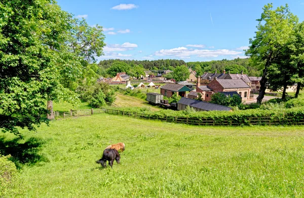 Colliery Houses Pit Village Beamish Village Durham County England United — Stock Photo, Image