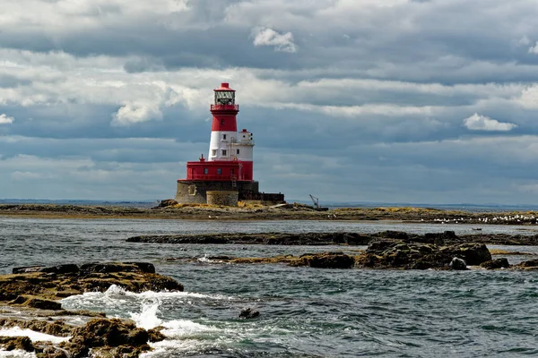 Sellos Comunes Faro Longstone Situado Las Islas Farne Exteriores Costa — Foto de Stock