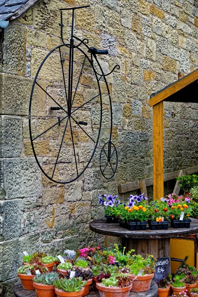 Hermosa Exhibición Vintage Con Flores Bicicleta Envejecida Aldea Ford Etal —  Fotos de Stock