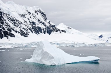 Antarktika - Iceberg ve peyzaj