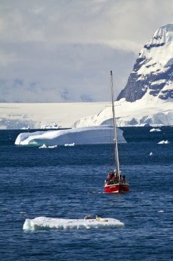 Antarctica Wildlife Expedition clipart