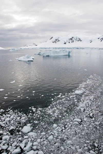 Antarktida - krajina a uličky ledu v zamračený den — Stock fotografie