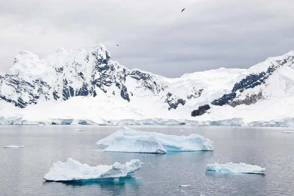Antarktis - schöne landschaft — Stockfoto