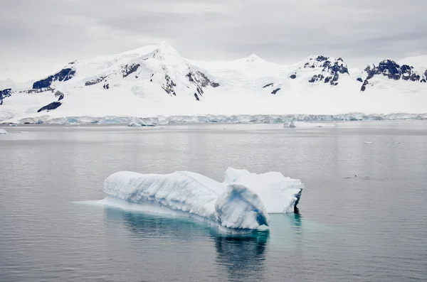 Antartide - Paesaggio con iceberg — Foto Stock