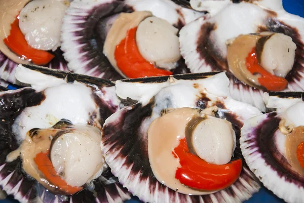 Seafood - Scallops — Stock Photo, Image