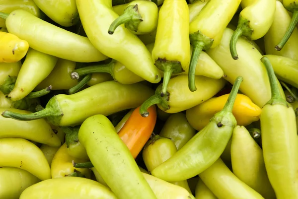 Gul Chile peppar — Stockfoto