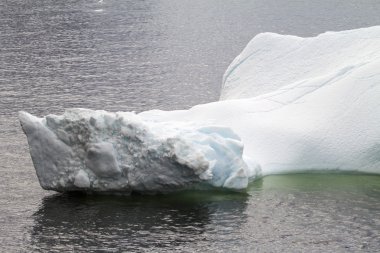 Antarktika - buzdağları - portre