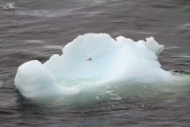 Antarktika - buzdağı