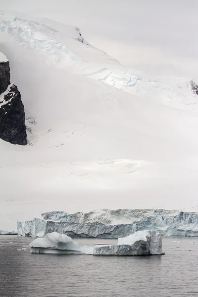 Antarctique - icebergs et littoral — Photo