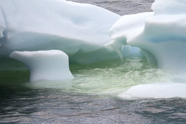 Antarktika - buzdağları - portre