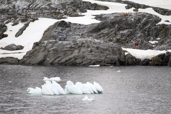 Antártica - Icebergs e pinguins — Fotografia de Stock