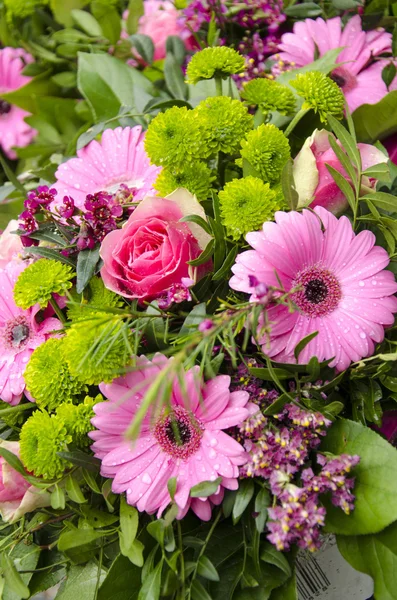 Bloemen - roze en groene boeket — Stockfoto