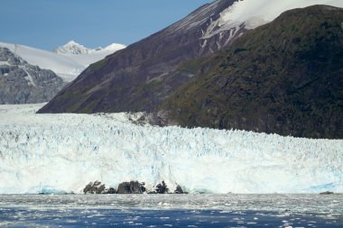 Chile - Amalia Glacier In Sunny Day clipart