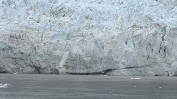 США - Аляска - Ледник Маржери — стоковое видео