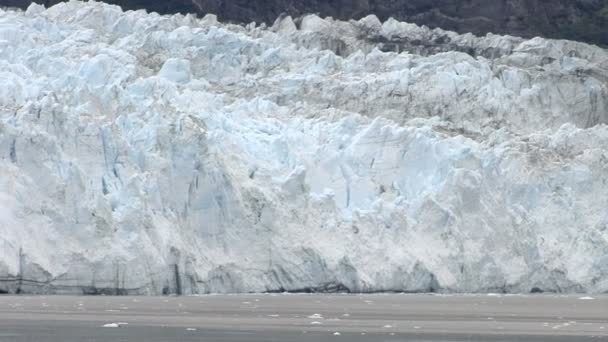 USA - Aljaška - Margerie ledovec — Stock video