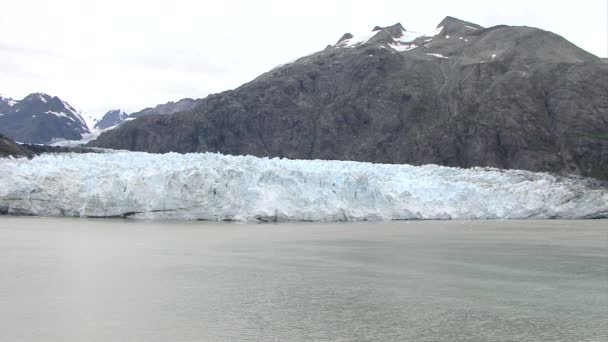 USA - Alaska - Margerie-Gletscher — Stockvideo