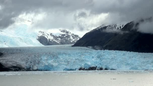 智利-南巴塔哥尼亚 Amalia 冰川 — 图库视频影像