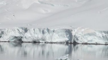 -Küresel ısınma - Antarktika buz oluşumları sahil şeridi