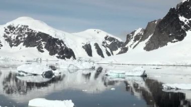 -Küresel ısınma - Antarktika buz oluşumları sahil şeridi
