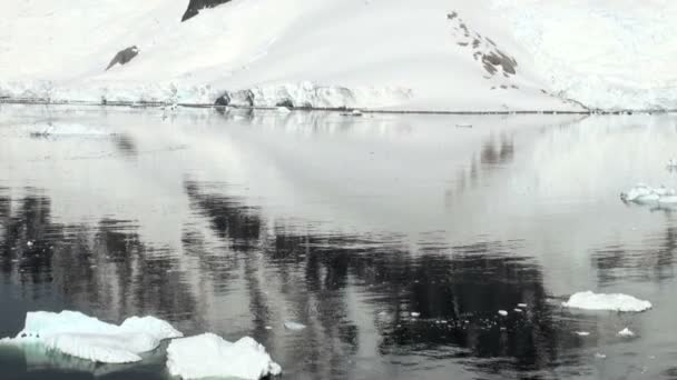 Côtes de l'Antarctique - Réchauffement climatique - Formations glaciaires — Video