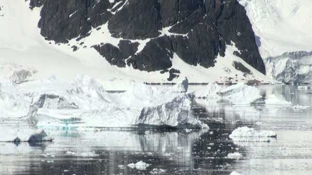 Côtes de l'Antarctique - Réchauffement climatique - Formations glaciaires — Video