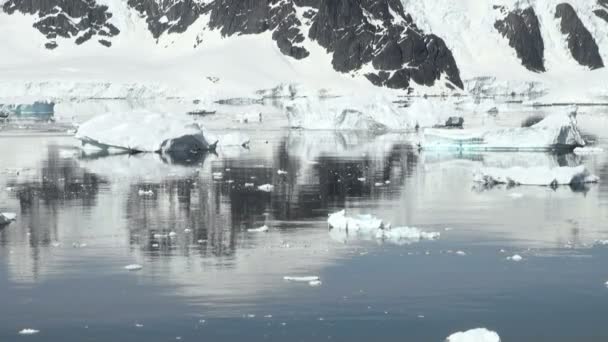Береговая линия Антарктиды - Глобальное потепление - Ледяные формации — стоковое видео