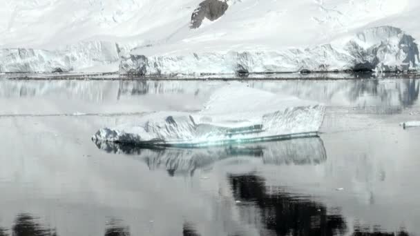 Línea costera de la Antártida - Calentamiento global - Formaciones de hielo — Vídeos de Stock