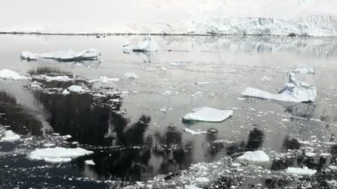 -Küresel ısınma - Antarktika buz oluşumları sahil şeridi