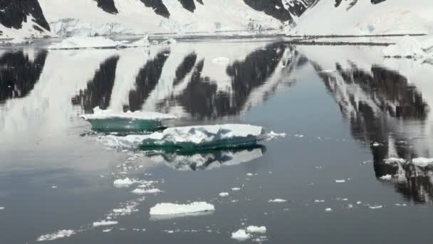 Linea costiera dell'Antartide - riscaldamento globale - formazioni di ghiaccio — Video Stock