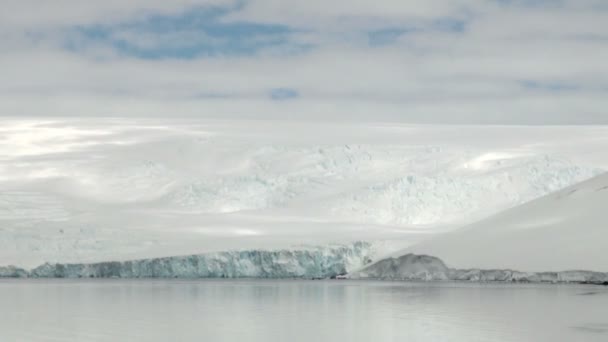 Ostrov krále Jiřího-pobřeží Antarktidy s ledovou formací — Stock video