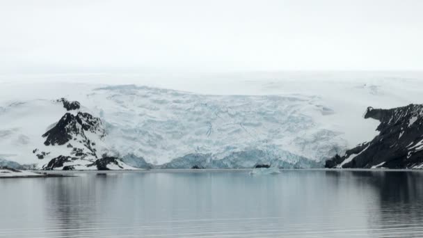 King George Island-kust van Antarctica met ijsformaties — Stockvideo