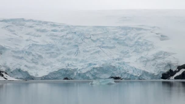 King George Island-kust van Antarctica met ijsformaties — Stockvideo