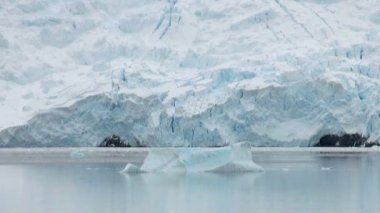 King George Adası - Buz Oluşumları ile Antarktika Kıyı Şeridi