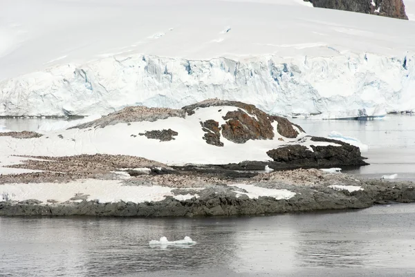 Línea costera de la Antártida - Calentamiento global - Formaciones de hielo — Foto de Stock