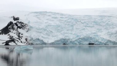 King George Adası - Buz Oluşumları ile Antarktika Kıyı Şeridi