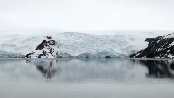 King George Island-kust van Antarctica met ijsformaties — Stockvideo