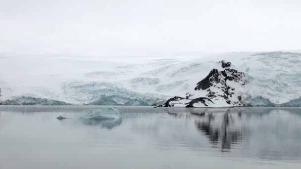 King George Island-kust van Antarctica met ijsformaties — Stockvideo