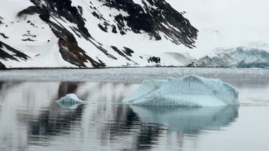 King George Adası - Buz Oluşumları ile Antarktika Kıyı Şeridi